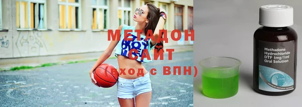 прущие грибы Алзамай