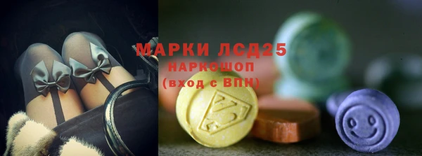 прущие грибы Алзамай