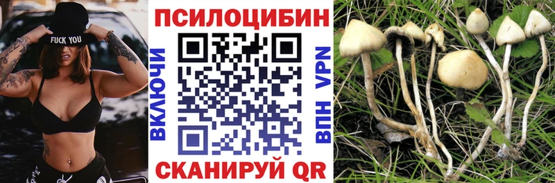площадка состав  Светлоград  Псилоцибиновые грибы мухоморы 
