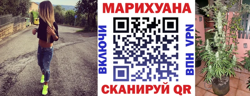 Каннабис индика купить наркотик Светлоград
